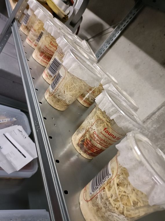 Einblick aus dem Projekt Klimaboxen